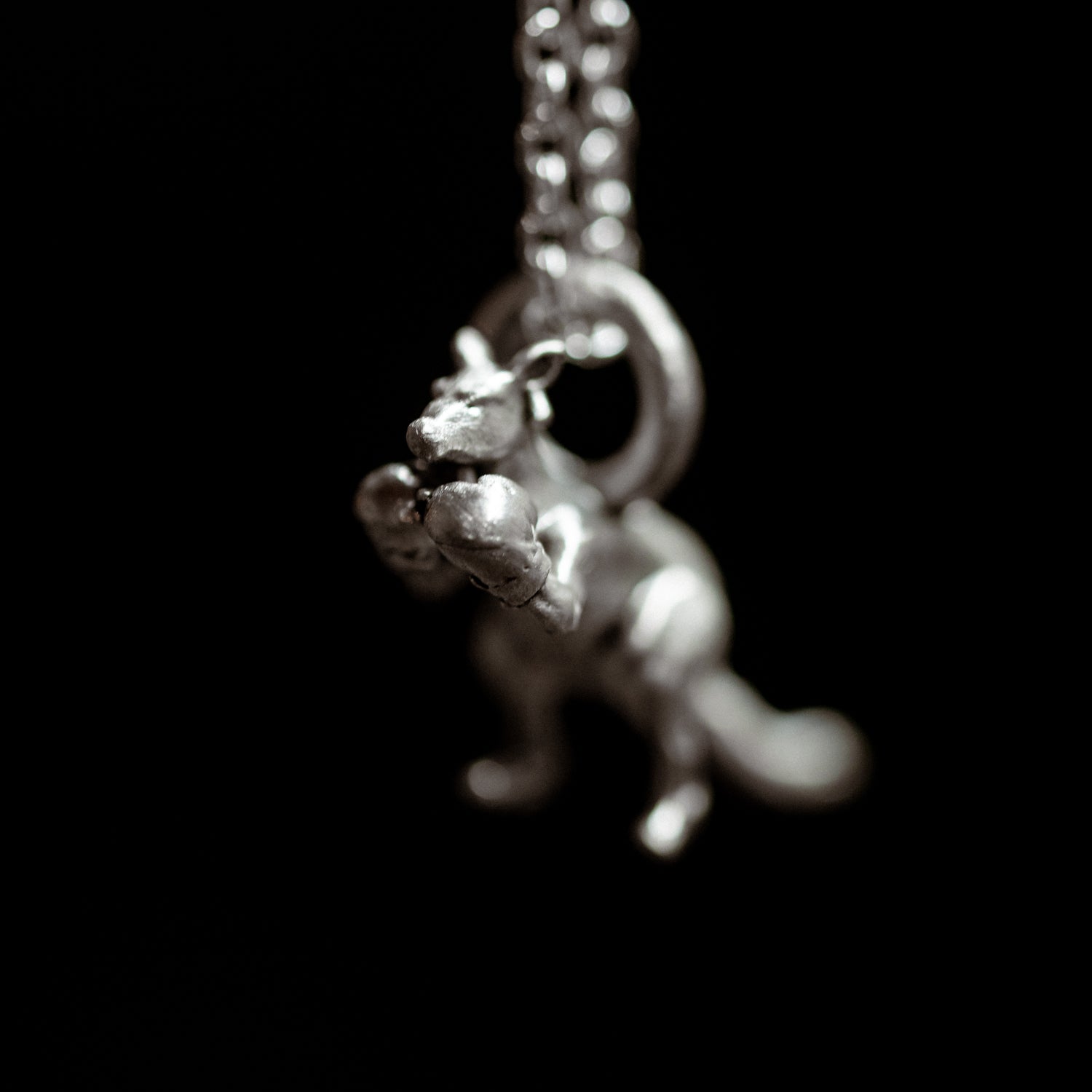 The Boxing Roo