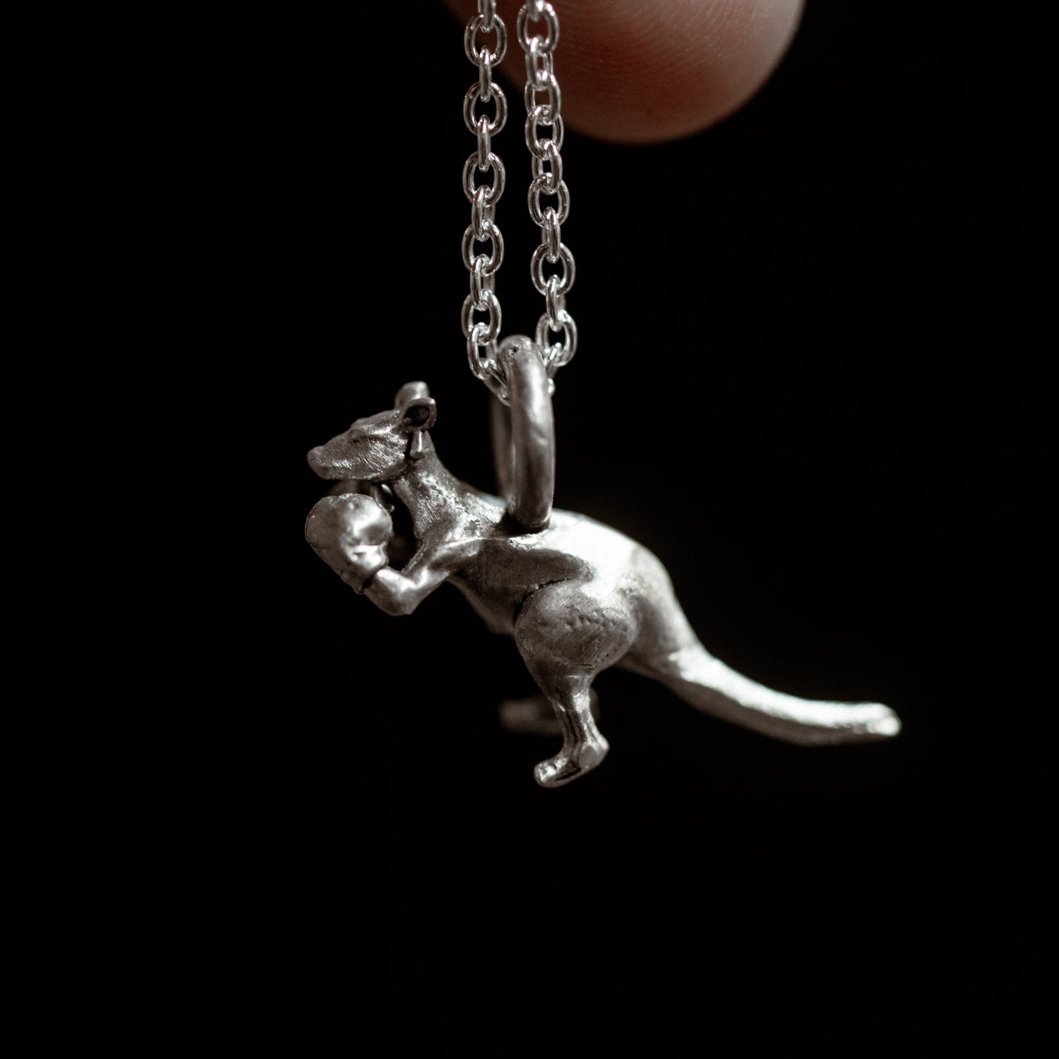The Boxing Roo
