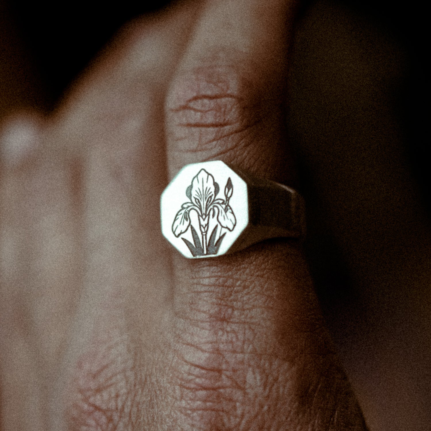 The Iris