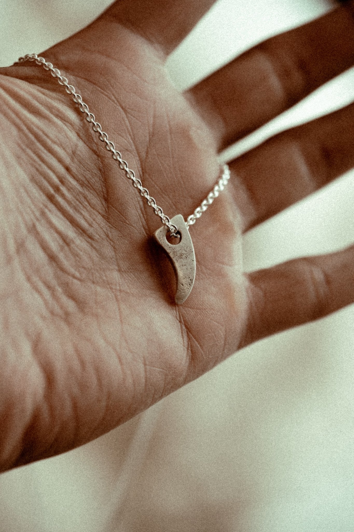 The Fin Pendant - Sailors and Seekers