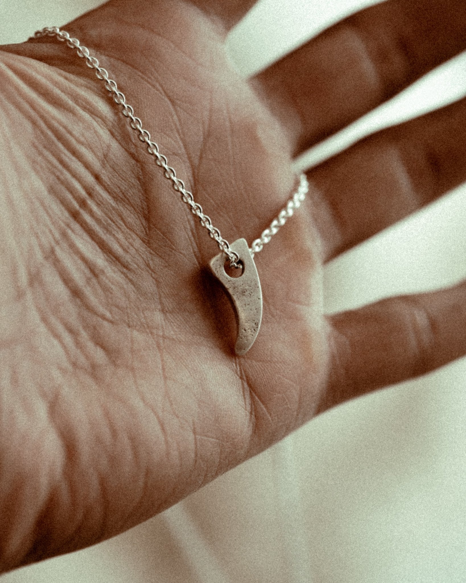 The Fin Pendant - Sailors and Seekers